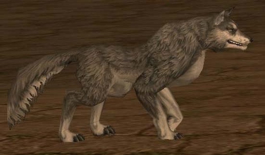 Квест на волка на русском языке